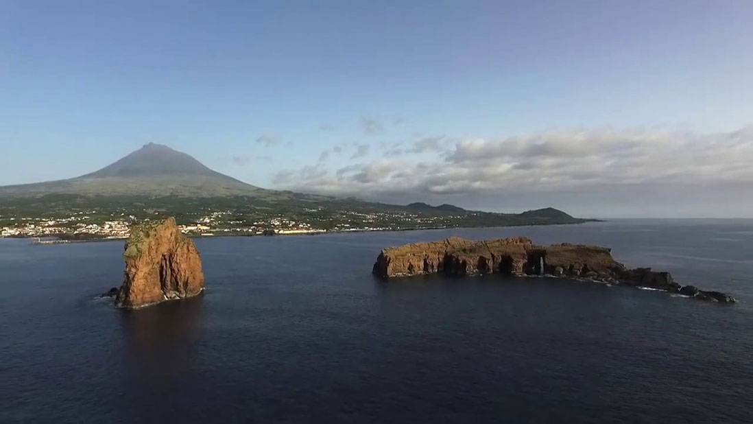 dive-the-azores1